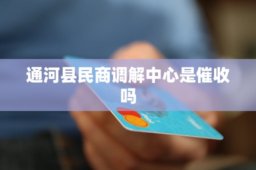 通河縣民商調(diào)解中心的角色 調(diào)解與金融機構(gòu)委托的邊界探討